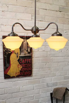 Chelsea Gooseneck Chandelier