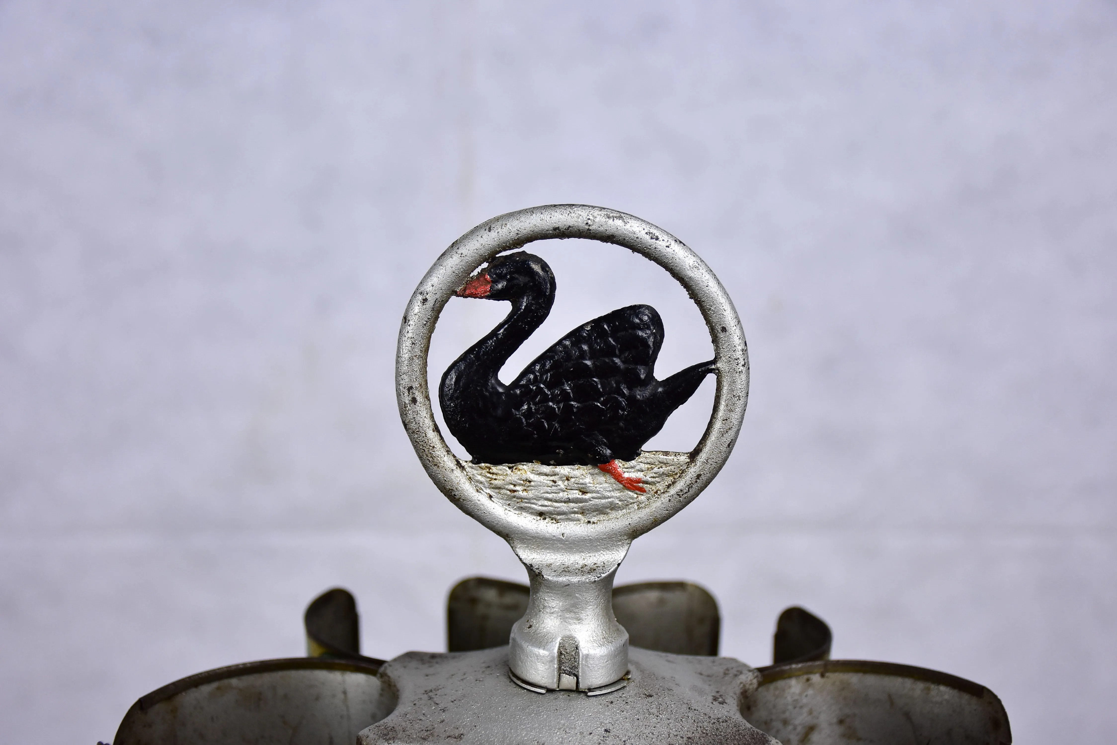 Cygne noire shoe polish stand