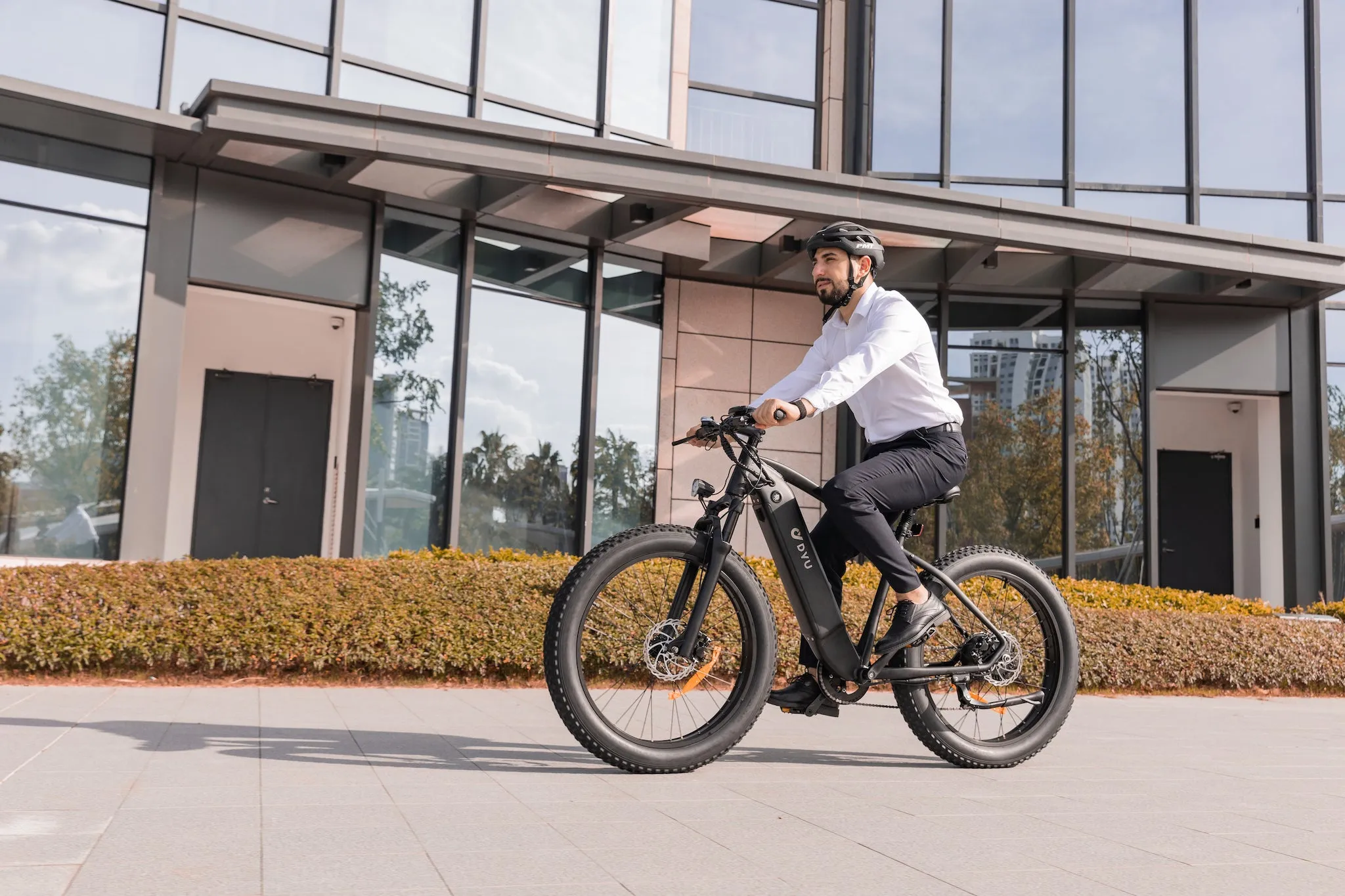 DYU King 750 48V/20Ah 750W Fat Tire Electric Bike