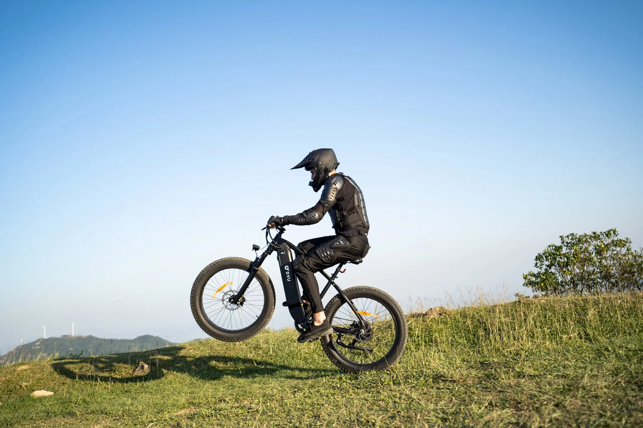 DYU King 750 48V/20Ah 750W Fat Tire Electric Bike