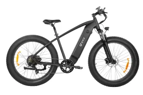 DYU King 750 48V/20Ah 750W Fat Tire Electric Bike