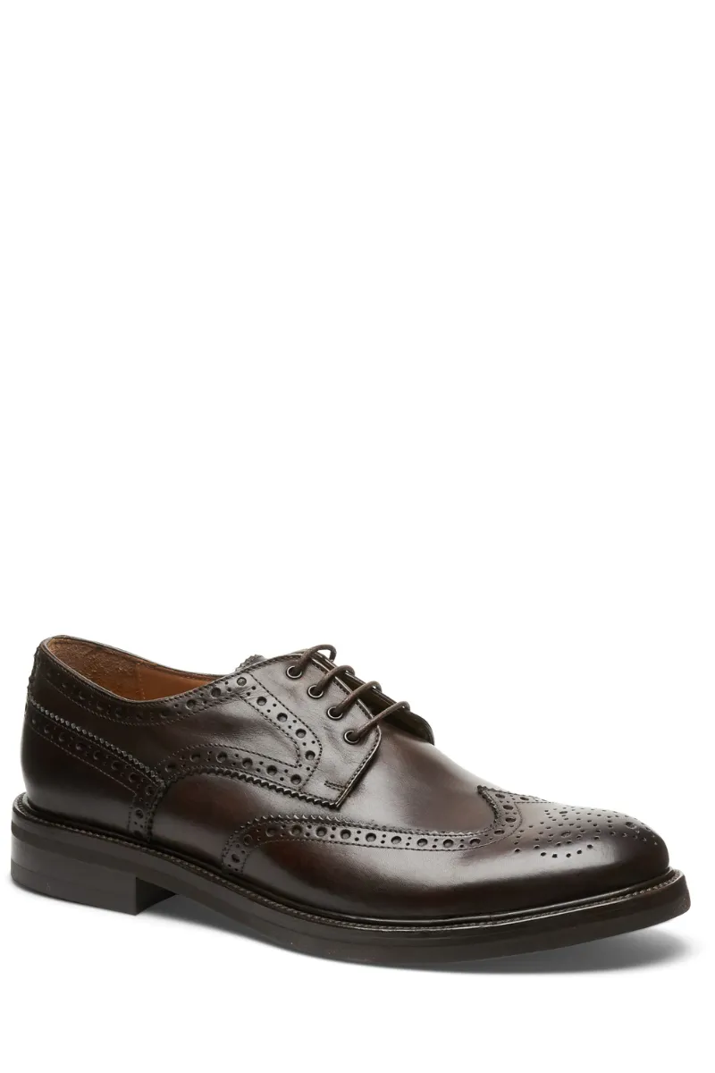 Lace-Up Oxford Shoe