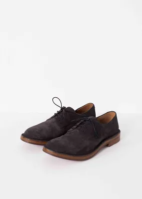 Lavagna Lace Up
