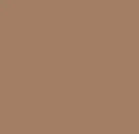 Leather Paint - Aniline Nutmeg