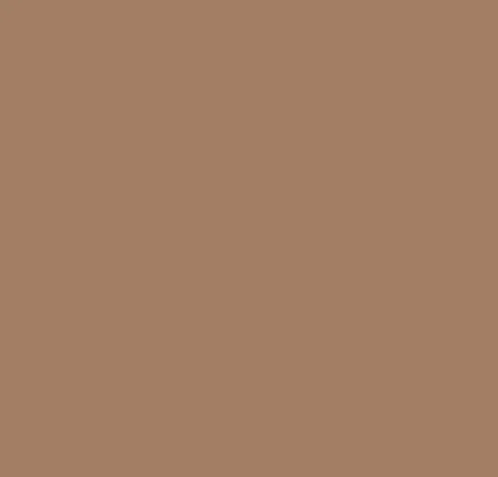 Leather Paint - Aniline Nutmeg