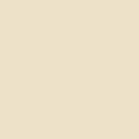 Leather Paint - Off White