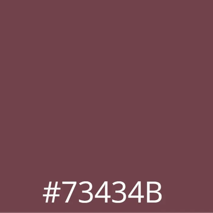 Leather Repair & Recolour Kit - Pinot