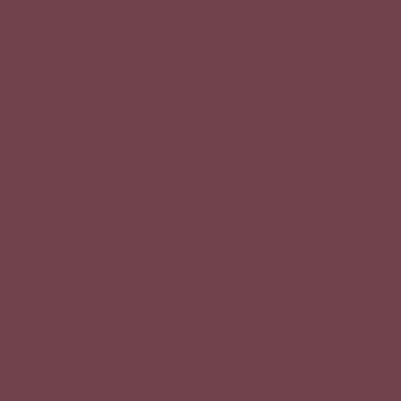 Leather Repair & Recolour Kit - Pinot
