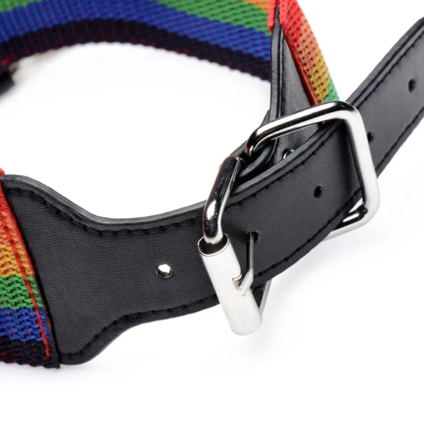Master Series Kinky Pride Rainbow Bondage Set
